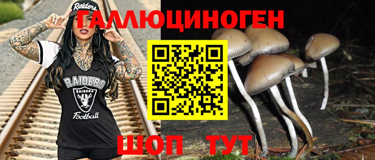 Псилоцибиновые грибы GOLDEN TEACHER  Вход с VPN  Энгельс 
